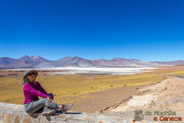 Salar de Talar Roteiro de 11 dias no Chile - Salar de talar