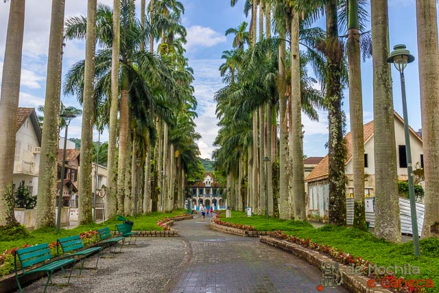 Rua das Palmeiras. Rua das Palmeiras - Joinvile