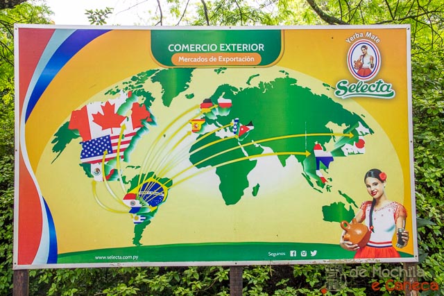 fábrica de erva-mate selecta terere-exportação