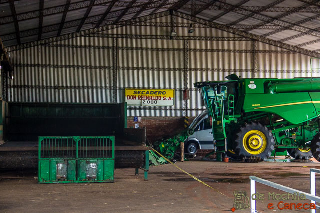 fábrica de erva-mate selecta terere-Secador. 