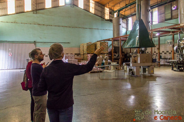 fábrica de erva-mate selecta terere-produção