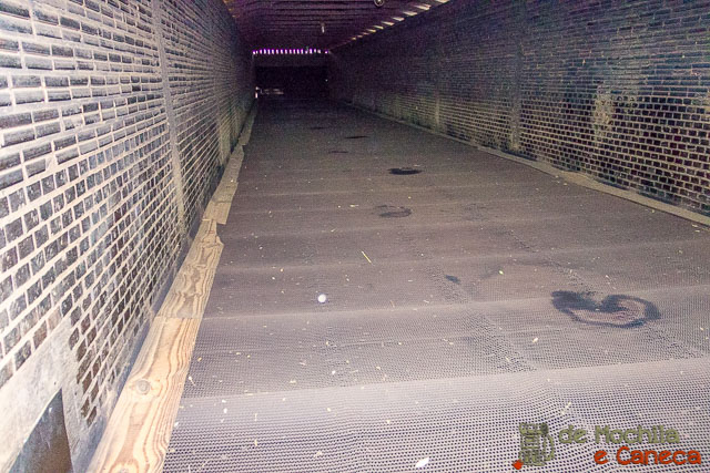 fábrica de erva-mate selecta terere-Sapecador. 