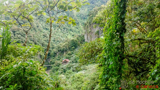 Vista a partir da trilha. Detalhe a ponte onde vamos nos secar lá embaixo Vista a partir da trilha. Detalhe a ponte onde vamos nos secar lá embaixo