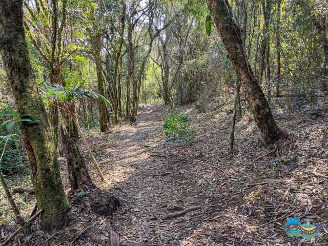 Trilha que dá acesso à Cachoeira da Mariquinha. Trilha que dá acesso à Cachoeira da Mariquinha.