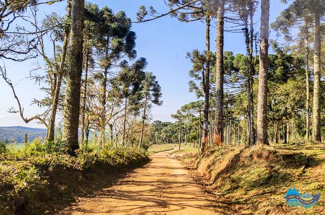 Estrada de acesso à Cachoeira da Marquinha. Estrada de acesso à Cachoeira da Marquinha.