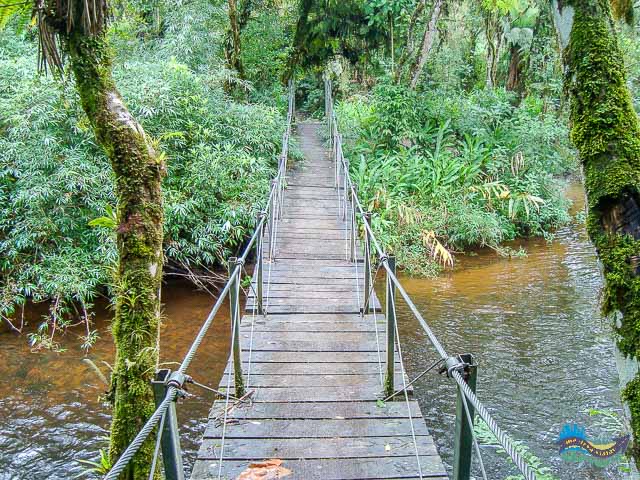Ponte no caminho do Itupava. Ponte no caminho do Itupava. O que fazer em Morretes