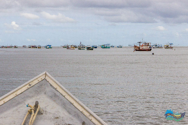 Litoral do Paraná - Superagui