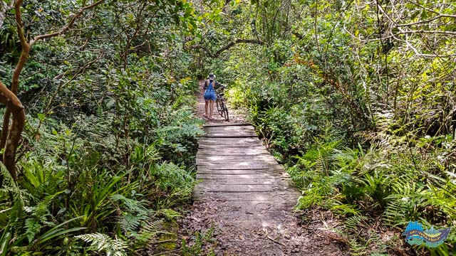 Trilha que vai até a Praia Deserta
