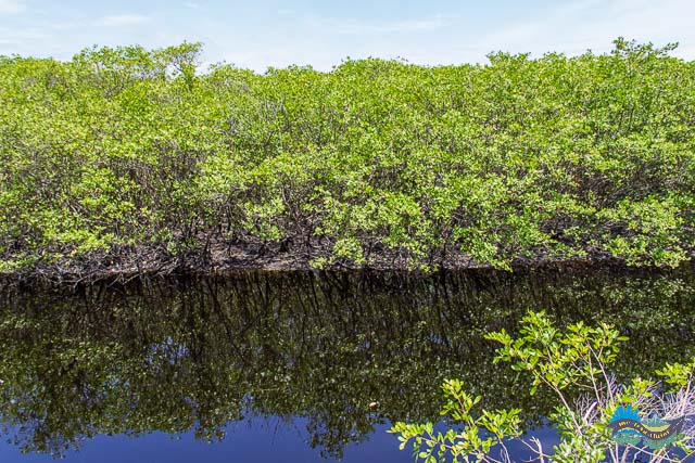 Trilha para a Praia Deserta