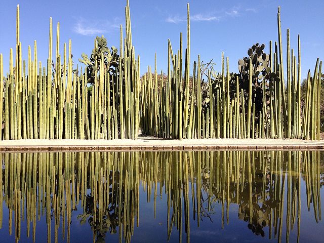 Jardim Etnobotânico