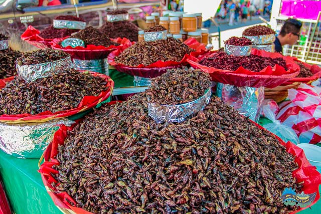 O que fazer em Oaxaca de Juarez - Mercado Benito Juarez