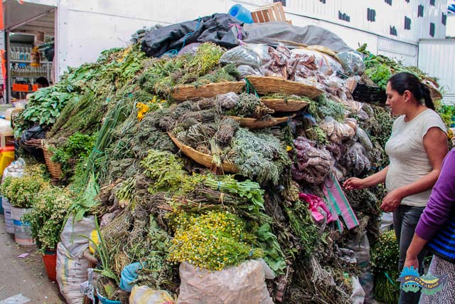 Mercado de Abastos de Oaxaca
