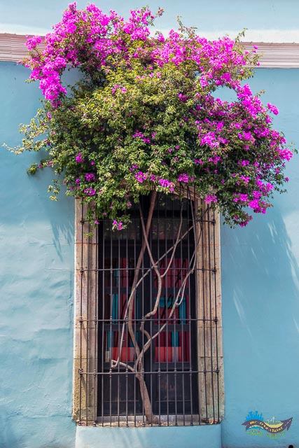 O que fazer em Oaxaca de Juarez