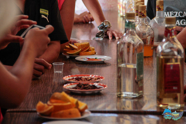 O que fazer nos arredores de Oaxaca de Juarez - Fabrica de Mezcal