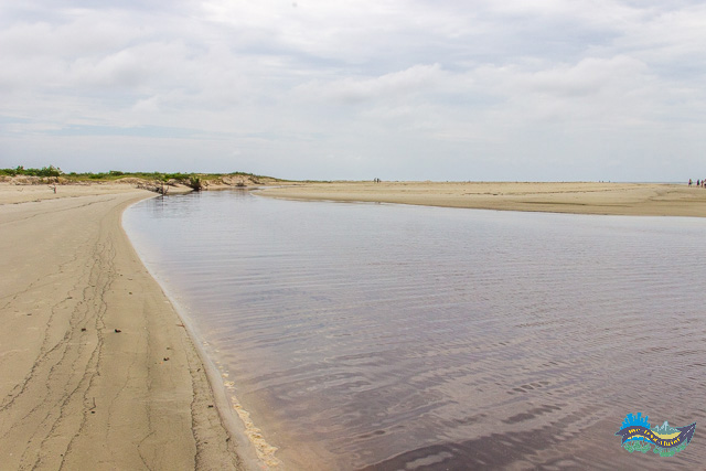 O que fazer em Superagui - Trilha até a Praia Deserta
