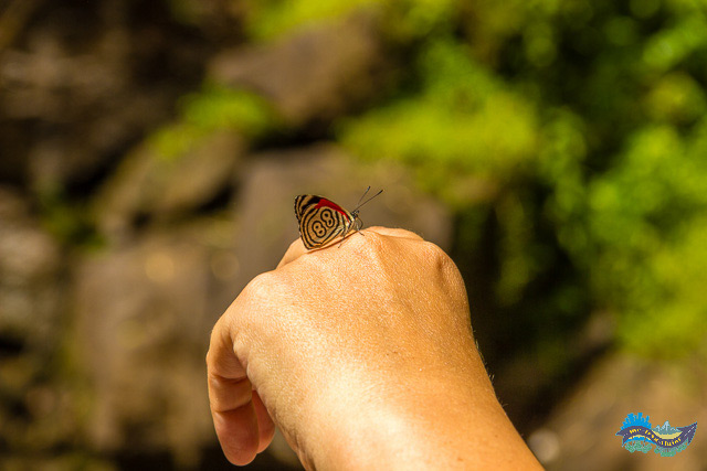 O que Fazer em Tibagi - Paraná O que Fazer em Tibagi - Paraná