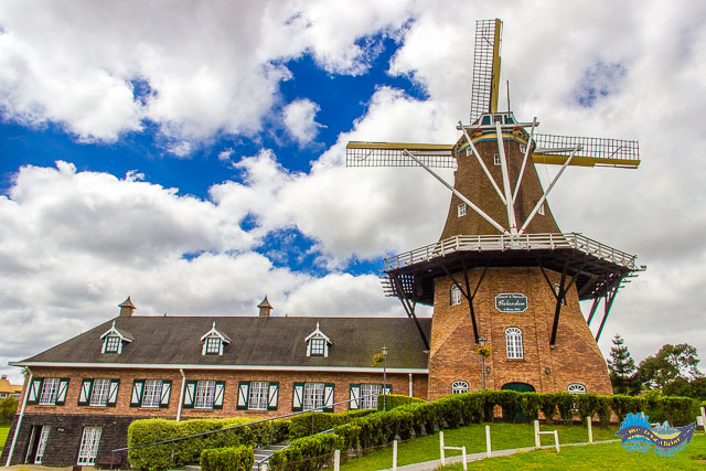 O que fazer em Castro - Moinho De Immigrant - Castrolanda