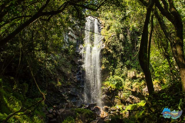 Salto Puxa-Nervos - Tibagi
