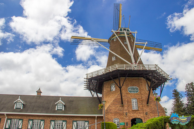 Moinho De Immigrant Moinho De Immigrant