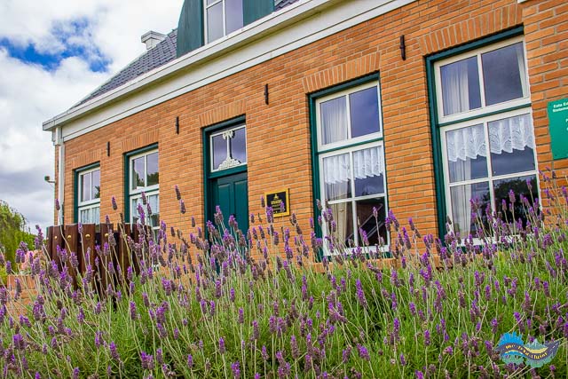 Castrolanda - Colônia holandesa no Paraná. Castrolanda - Colônia holandesa no Paraná.