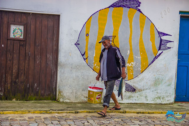 Peixe fresquinho em Garopaba Rota da Baleia Franca - Garopaba