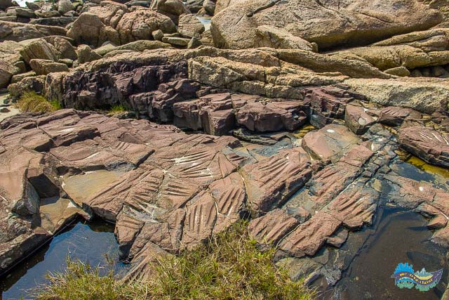 Oficina Lítica aos pés do Morro do Índio, em Garopaba. Oficina Lítica aos pés do Morro do Índio, em Garopaba.