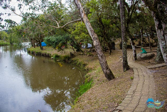 Trilha em meio ao Bosque. 
