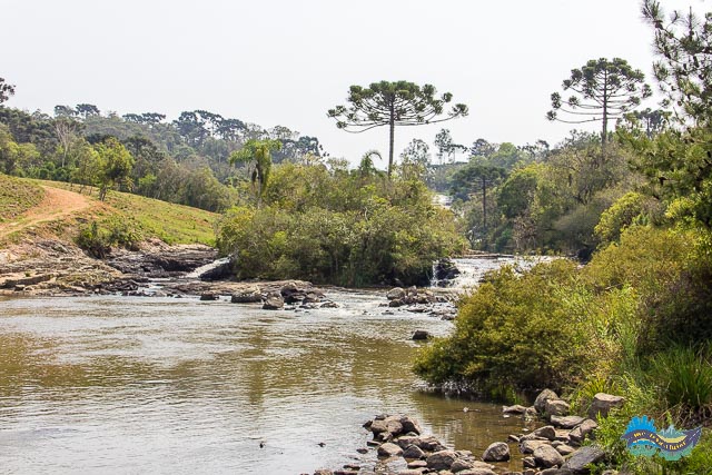 Saltinho - pesca em Tijucas do Sul. 