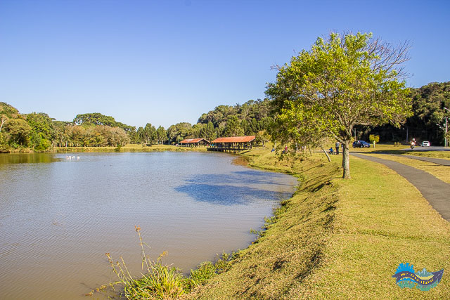 Parque Tingui - Curitiba Parque Tingui - Curitiba
