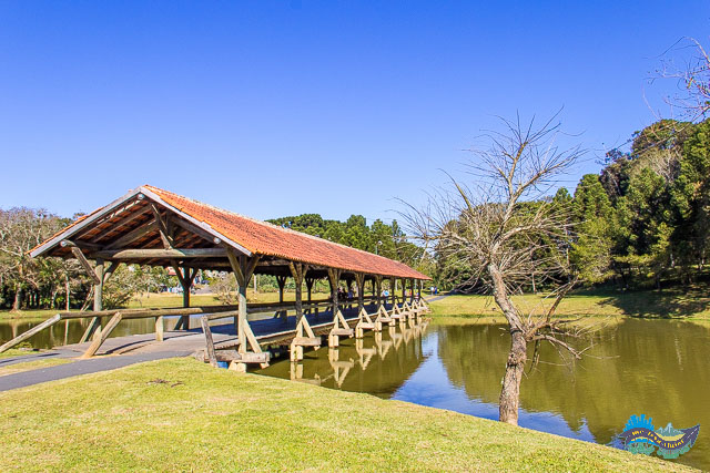 Pontes Cobertas do Parque Tingui Pontes cobertas.
