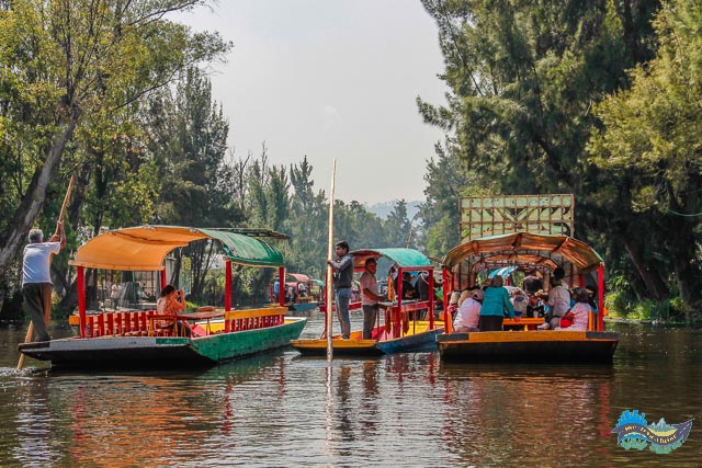 Musico individual tocando para os barcos. Musico nos canais de Xochimilco