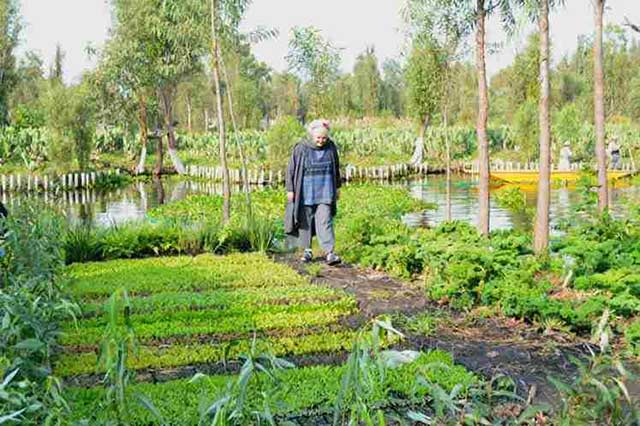 chinampas chinampas
