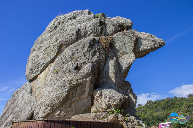 Itajaí - Bico do Papagaio