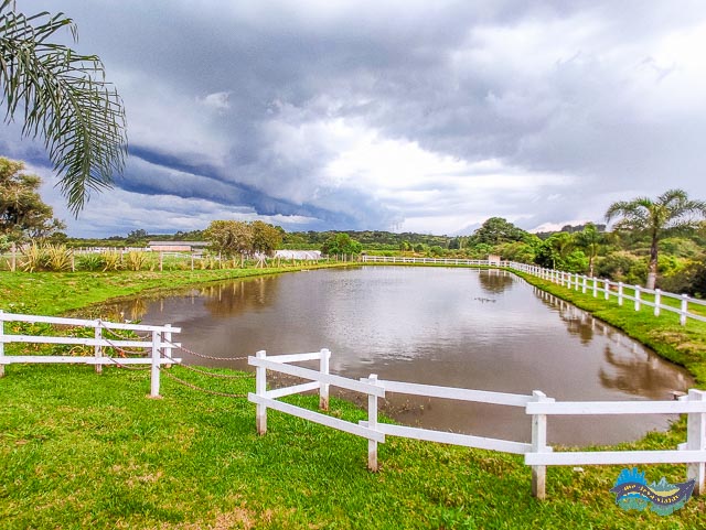 Café Colonial Juliatto