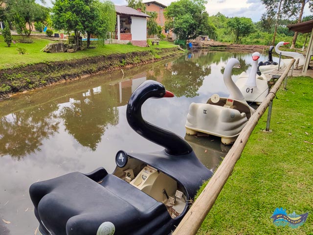 Pedalinhos no Caminho do Vinho