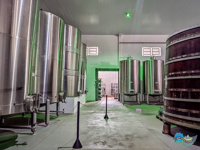 Visita à Vinícola - Caminho do Vinho. 
