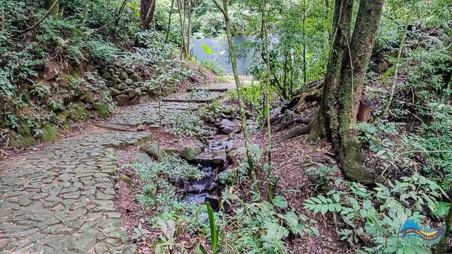 Bosque Gutierrez lugares "secretos" em Curitiba. Bosque Gutierrez