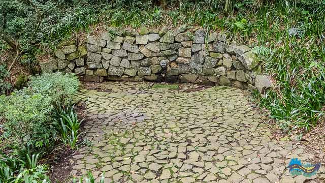 Bosque Gutierrez Bosque Gutierrez