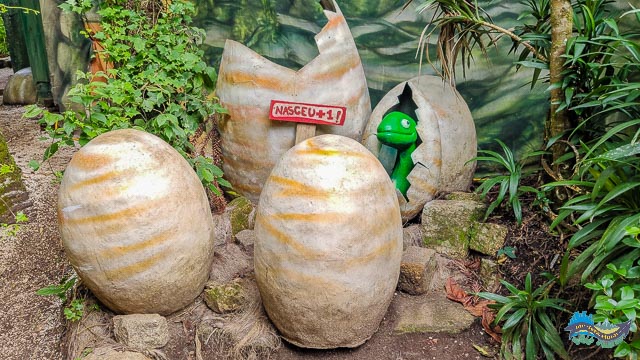 Ovos de dinossauros. 