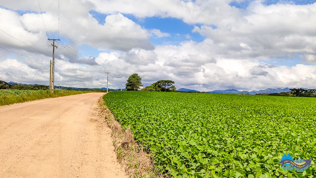 Estrada Rural da Colônia Murici.