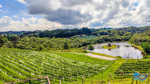 Vinícola Araucária