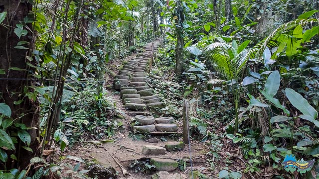 Parte da trilha que dá acesso à cachoeira do Rio Sagrado. Parte da trilha que dá acesso à cachoeira do Rio Sagrado.