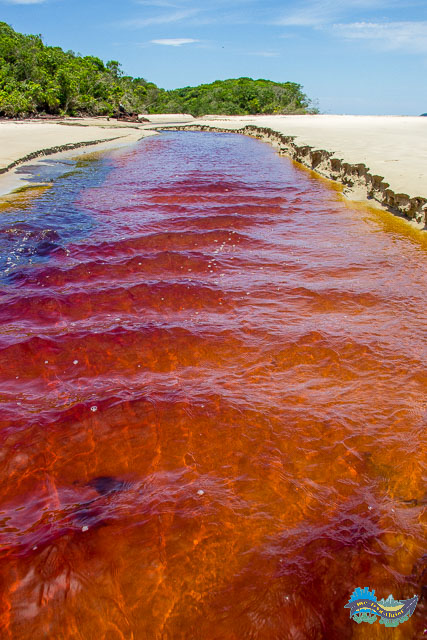 Vários rios bonitos ao longo do caminho. 