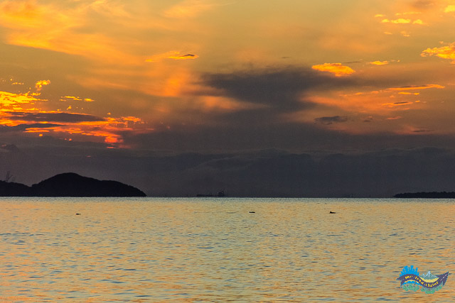 baia dos golfinhos - Paraná