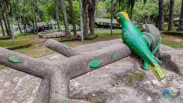 Homenagem aos visitantes que deram nome ao local. Papagaio origem do nome