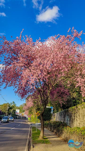 Rua Joao Gava Rua Joao Gava