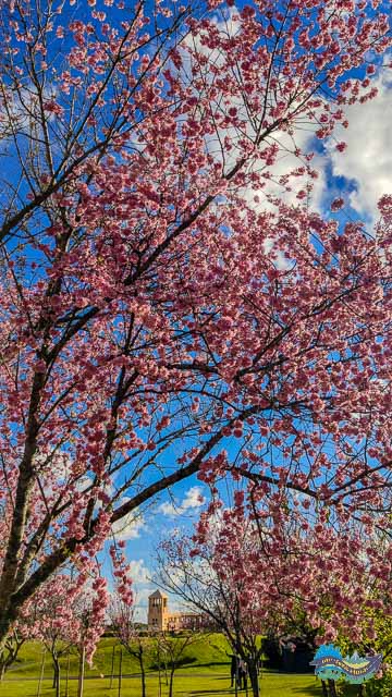 Parque Tanguá Parque Tanguá