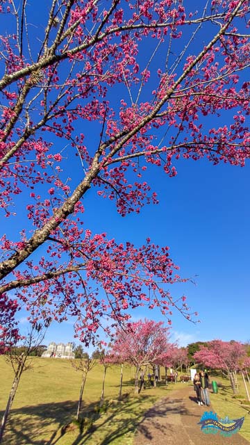 Jardim Botânico de Curitiba 
