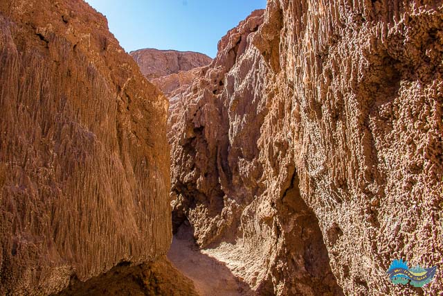 Cañon de Sal. Cañon de Sal.