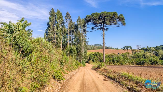 Zona Rural de São José dos Pinhais